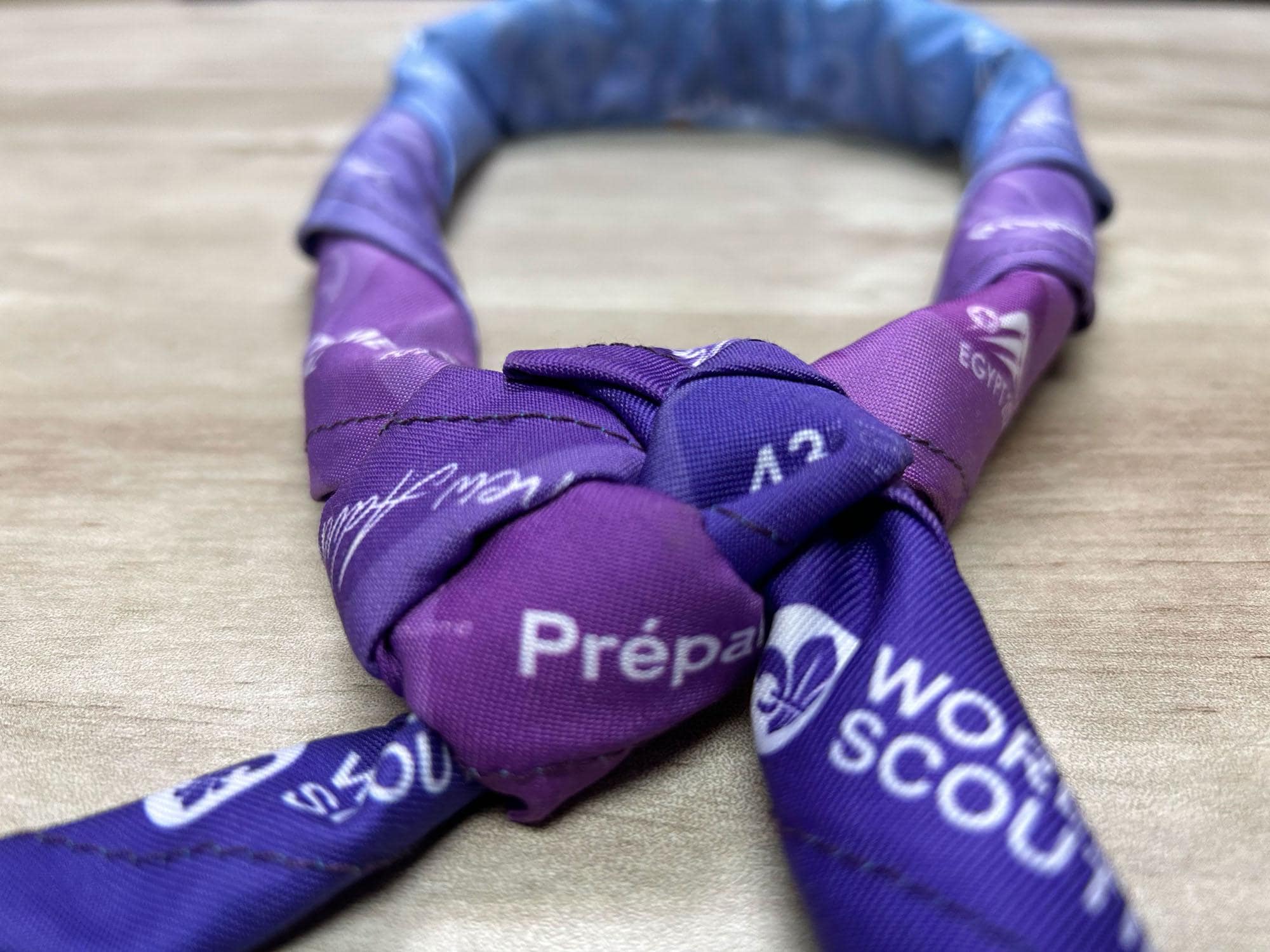 43rd World Scout Conference Official Colored Neckerchief Foulard with the new Scout brand - Boy Scout Collectible Badge - WOSM Egypt 2024 - Image 10