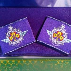 Egyptian Federation Official pair of Stripes in Arabic with Fleur de Lis & Lotus Badge Patch for Uniforms - Boy Scout Collectible Badge