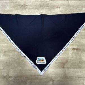 25th World Scout Jamboree Egyptian Federation for Scouts and Girl Guides Contingent Neckerchief - Boy Scout Collectible - Korea 2023