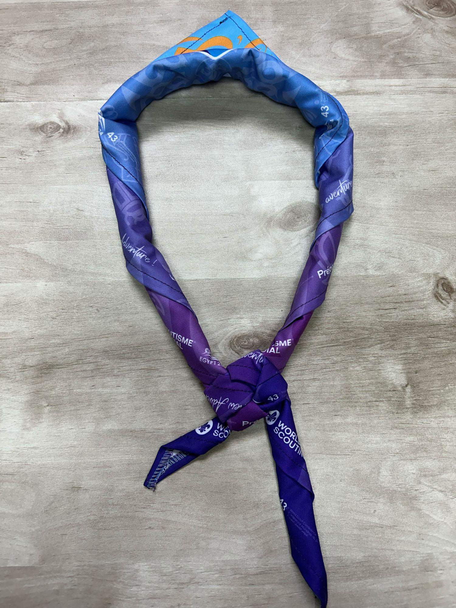 43rd World Scout Conference Official Colored Neckerchief Foulard with the new Scout brand - Boy Scout Collectible Badge - WOSM Egypt 2024 - Image 7